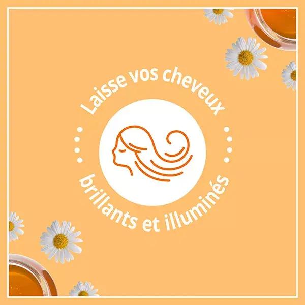 Le Petit Marseillais Champú Nutrition con Miel de Provenza y Karité 250ml