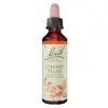 Fleurs de Bach® Original - Cherry Plum 20ml