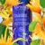 Melvita Eau Florale Hamamelis de Virginie Brumisateur Bio 200ml