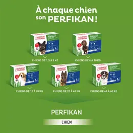 Clement Thekan Perfikan Anti-Puces Anti-Tiques Chien 4-10kg 4 pipettes