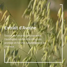 Weleda Avoine Après-Shampoing Régénérant 200ml