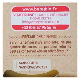 Babybio Fruits Pot Mangue Pomme +4m Bio 2 x 130g