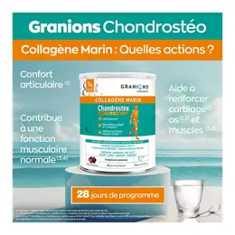 Chondrostéo+ Collagène Marin Confort Articulaire Goût Fruits des Bois Poudre 280g