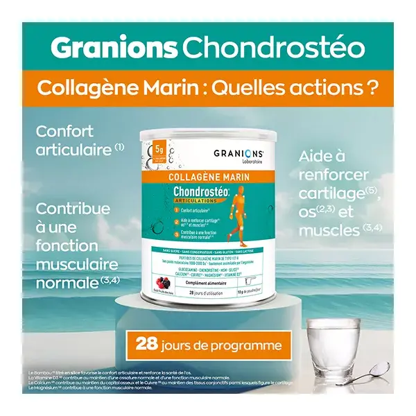 Chondrostéo+ Collagene Marino Confort Articulaire Gusto Fruits des Bois Poudre 280g