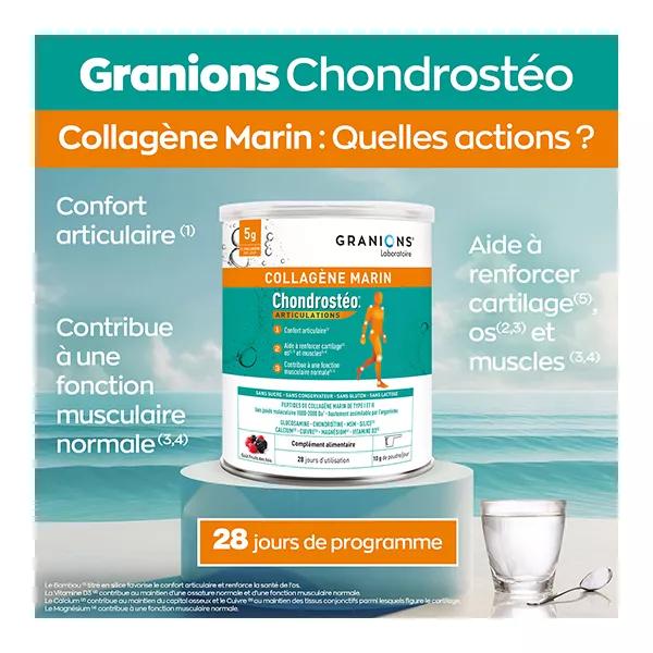 Condrostéo+ Colágeno Marino Confort Articular Sabor Fruta de Bosque Polvo 280g