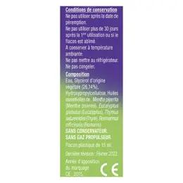 UPSA Phytovex Nez Très Bouché Spray Nasal 15ml