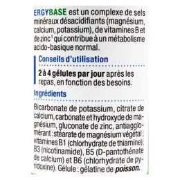 Nutergia Ergybase 60 gélules