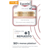 Eucerin Hyaluron Filler+ Elasticity Cream Rose SPF30 50ml + Refill