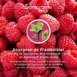 Santarome Bio -  Bourgeon Framboisier Bio - Gémmothérapie - Flacon de 30ml