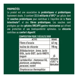 Granions Probiotiques Equilibre de la flore intestinale 40 Gélules