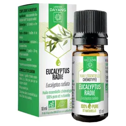 Dayang Huile Essentielle Eucalyptus Radié Bio 10ml