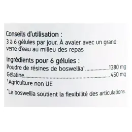 Nat & Form Original Boswellia 200 gélules