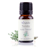 Labiatae Ätherisches Öl Thymian Bio 12 ml