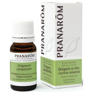Oregano Ätherisches Öl kompakter Blütenstände BIO Pranarom 10 ml.