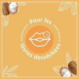 Le Petit Marseillais Soin Lèvres  Karité, Amande Douce et Argan Lot de 2 x 4,9g