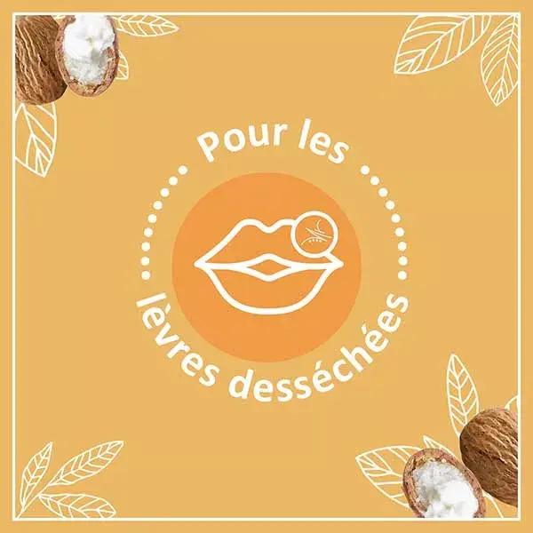 Le Petit Marseillais Soin Lèvres  Karité, Amande Douce et Argan Lot de 2 x 4,9g