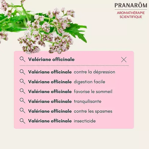 Pranarom Aceite Esencial de Valeriana 5ml