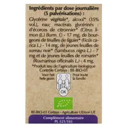 Herbalgem Complexe de Gemmothérapie Stomagem Confort Digestif Spray Bio 15ml