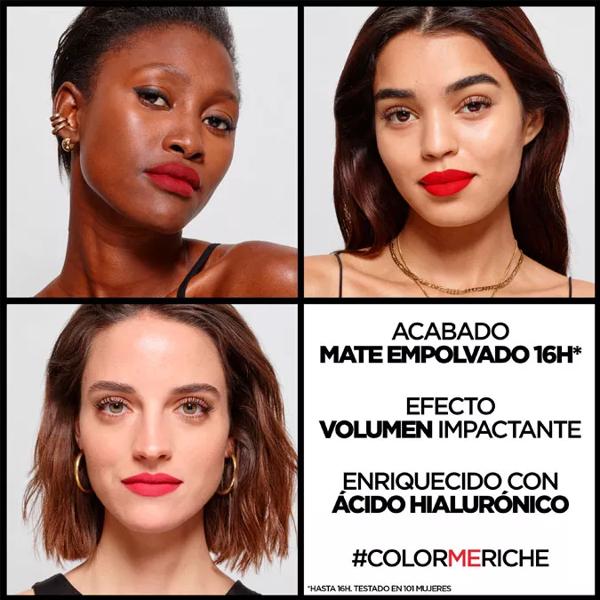 L'Oréal Paris Color Riche Intense Volume Matte Lipstick 480 Plum Dominant