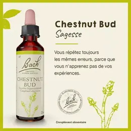 Fleurs de Bach® Original - Chestnut Bud 20ml