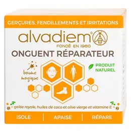 Alvadiem Soin du Visage Onguent Réparateur Irritations Gerçures et Fendillements 50ml