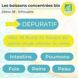 Nutrigée Boisson Détox 38 Plantes Silhouette 300ml