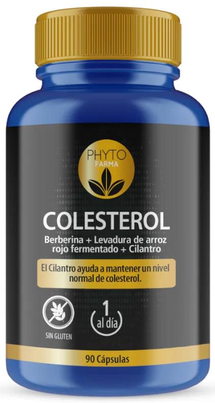 Phytofarma Cholestérol 90 Gélules