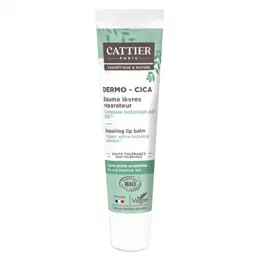 Cattier Dermo-Cica Baume à Lèvres Réparateur Bio 15g