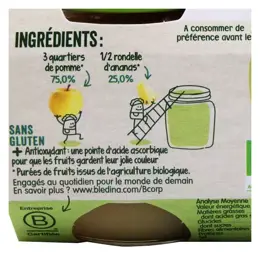 Blédina Les Récoltes Bio Pommes Ananas Lot de 2 x 130g