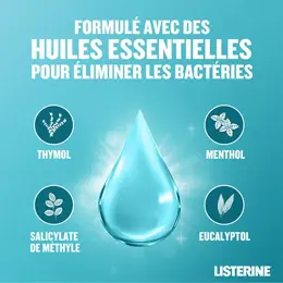 Listerine Bain de Bouche Listerine Fraicheur Intense - 500ml