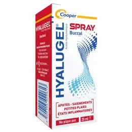 Hyalugel Spray Buccal Aphtes Petites Plaies 20ml