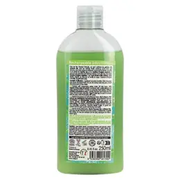 Coslys Gel Douche Raffraîssant Menthe-chanvre 250ml