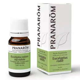 Pranarom Huile Essentielle Eucalyptus Radié 10ml