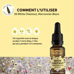 Biofloral Fleur De Bach 35 White Chestnut Marronier  Bio 20 ml