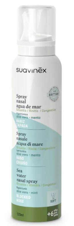 aloe vera leave in conditioner for hair Infinity Naturals Styling Leave In Conditioner with Grapeseed Oil, Alo –  Lotus Pharmacies main image 1