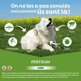 Clement Thekan Perfikan Anti-Puces Anti-Tiques Chien 1,5-4kg 4 pipettes