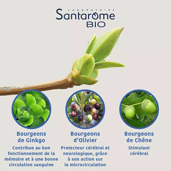 Santarome Organic Blossom Trio Complex Memory Remedy Pipette Bottle 30ml 