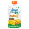 France Bébé Nutrition Gourde Mangue +4m Bio 100g