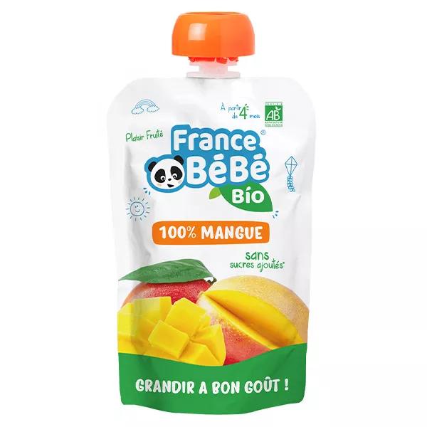 France Bébé Bio Batido de Mango 100g main product photo