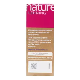 Lehning Nature Harpagophytum Procumbens Bio 60ml