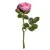 Sanoflore Sublimes Baies Roses 30ml