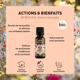 Biofloral 36 Wild Oat Avoine Sauvage Granules Bio Fleur De Bach 19,5 Gr