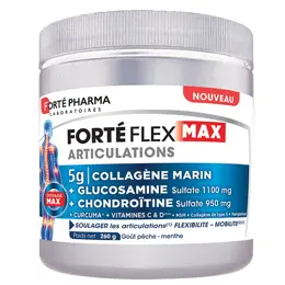 Forté Pharma Forté Flex Max Articulations Collagène Marin Chondroïtine 226g