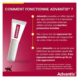 Advantix Chien Solution Antiparasitaire Très Petite Race 1,5 à 4kg 6 pipettes