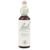 Flowers of Bach Beech 20ml