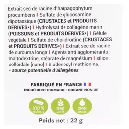 Phytalessence Artiphytol 40 gélules