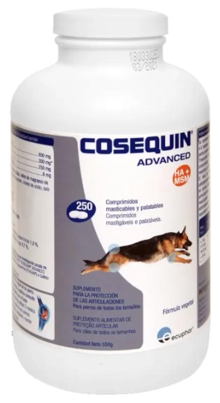 Cosequin Advance Chondroprotecteur Chiens MSM HA 250 Gélules