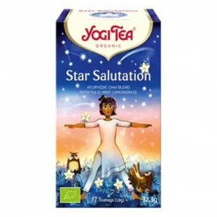 Yogi Tea Infuso Star Greeting 17 bustine