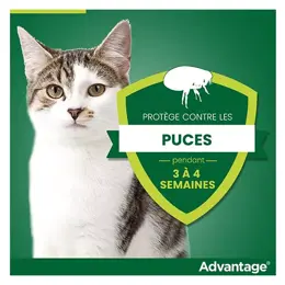 Advantage Solution Antipuce Chat Lapin +4kg 4 pipettes