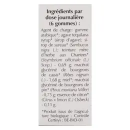 Herbalgem Macérat Concentré Gomme Chantres Bio 24 gommes